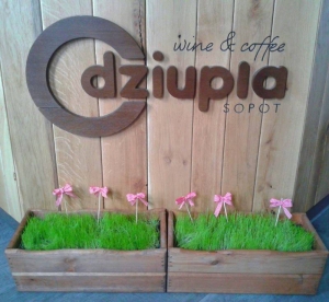 12991023_10207121921980044_2794112170187002968_n